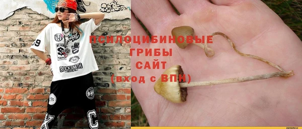 2c-b Абинск