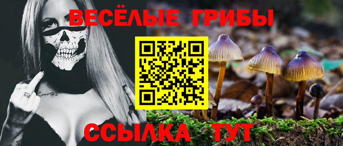 Псилоцибиновые грибы мицелий  Вход с VPN  Элиста 